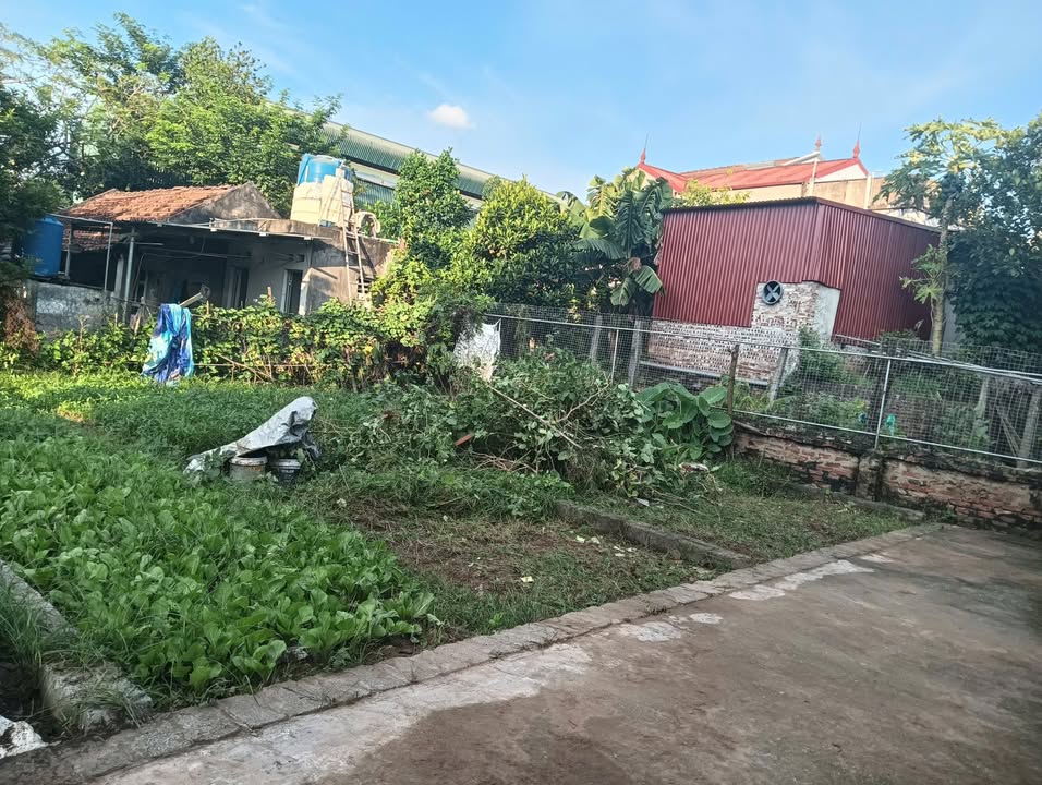 Đất nền Tự Nhiên Thường Tín 42.3m² giá 1.69 tỷ - Đầu tư sinh lời ngay!