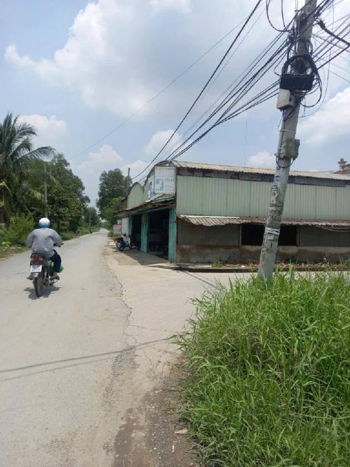 Đất vườn 4230m² mặt tiền đường Tân Nhiễu, Bình Chánh giá 21.5 tỷ - Đầu tư sinh lời!