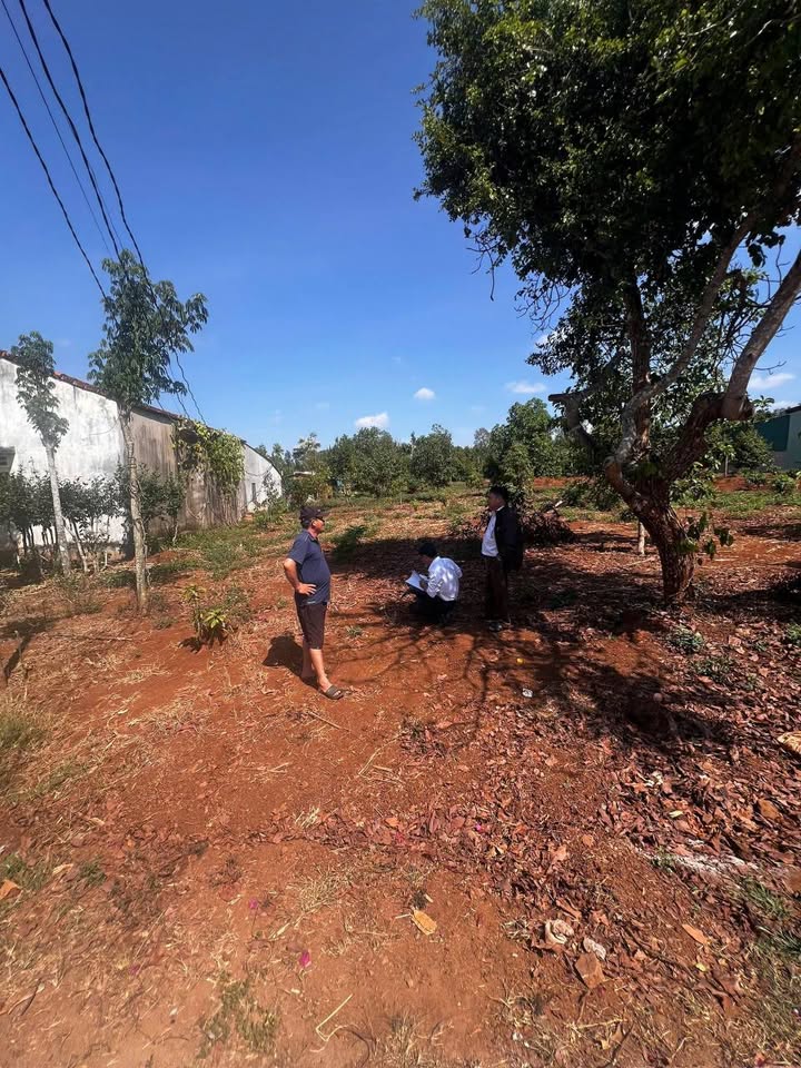 Đất thổ cư 500m² xã Phú Xuân, huyện Krông Năng giá chỉ 620 triệu - Sổ đỏ chính chủ!