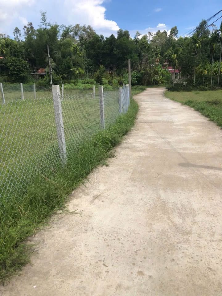 Đất trồng cây 210m² phường Quảng Phú Đà Nẵng giá 210 triệu - Cần bán gấp!