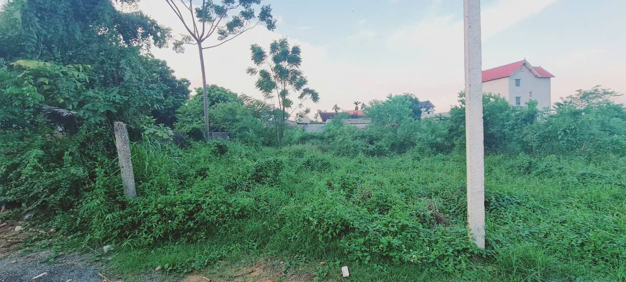 Đất nền xã Xuân Mai, Chương Mỹ 1500m² giá 4.5 tỷ - Lô góc hai mặt tiền cực hiếm!