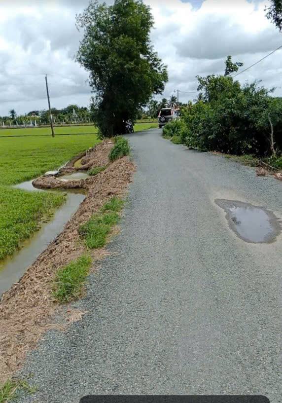 Đất lúa mặt tiền lộ nhựa An Hòa 1, Bình An, Thủ Thừa, 10.681m² giá chỉ 550 triệu