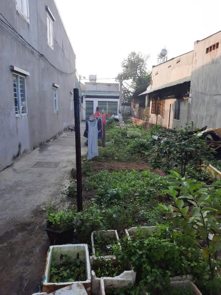 Đất nền khu phố Vườn Dừa, Phước Tân 108m² giá 1.3 tỷ - Đường betong 2 mặt tiền!