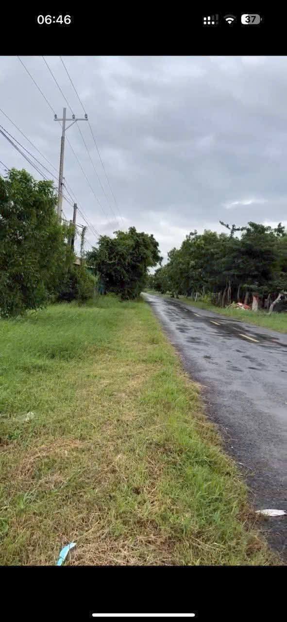 Đất nền ấp Thạnh B, xã Thạnh Hải, 33000m² giá thỏa thuận - Sổ đỏ chính chủ!