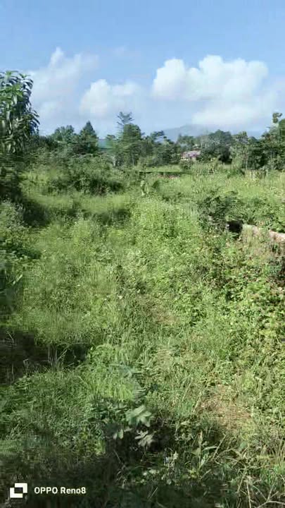 Đất nền chính chủ xã Yên Bài, Ba Vì 500m² giá chỉ 4 tỷ - Cơ hội đầu tư hấp dẫn!