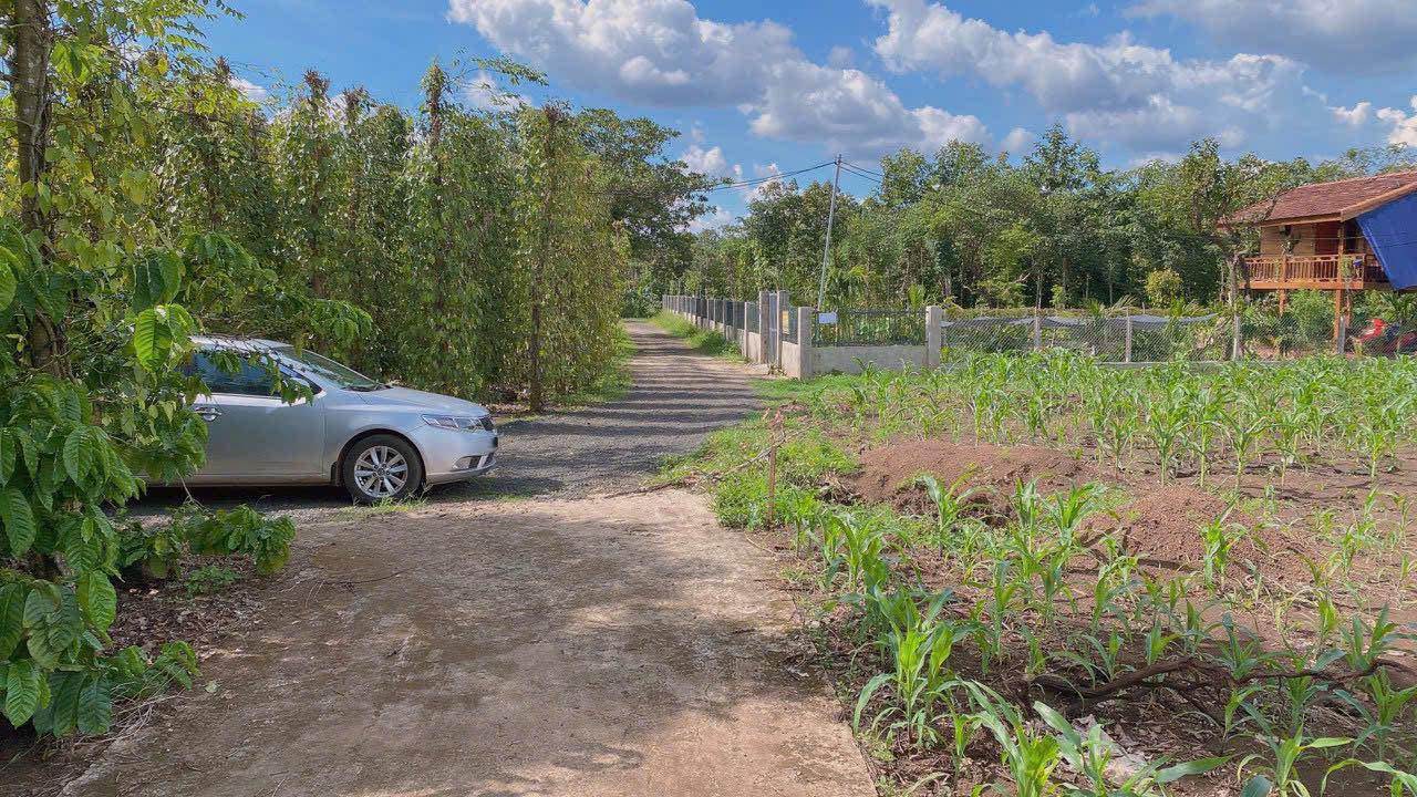 Đất nông nghiệp đường bê tông phường Ea Kao 540m² giá chỉ 399 triệu - Sổ đỏ chính chủ!