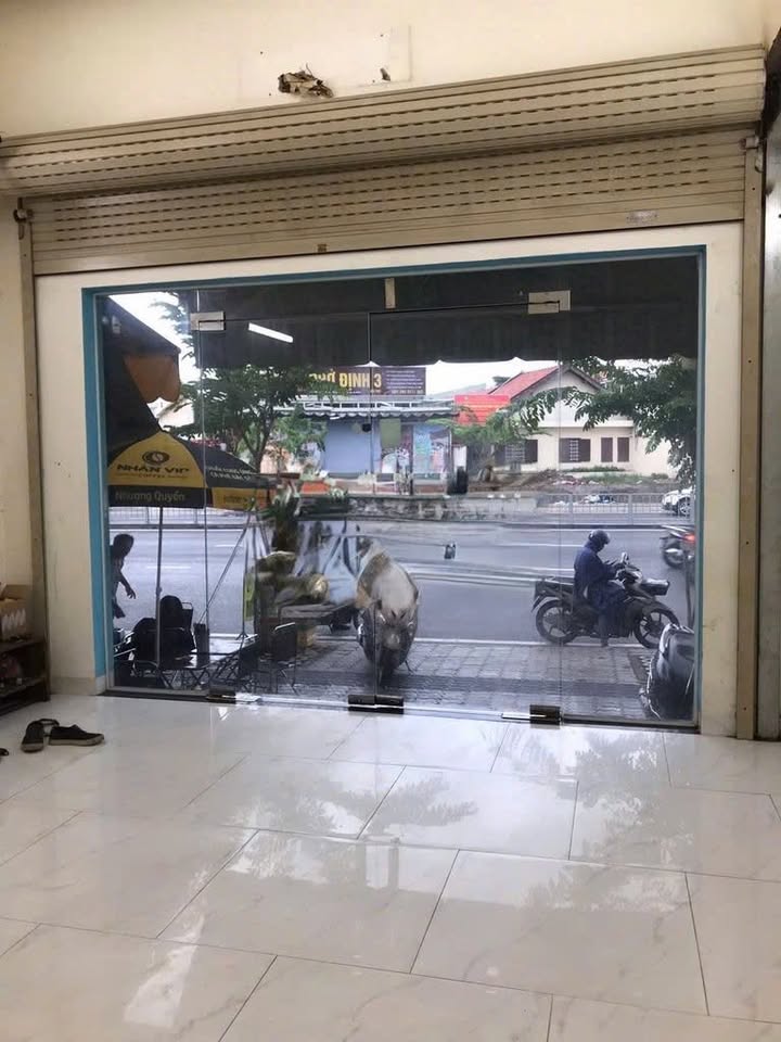 Nhà mặt tiền Dương Quảng Hàm, Gò Vấp 150m² giá 40 triệu - Vị trí kinh doanh sầm uất!