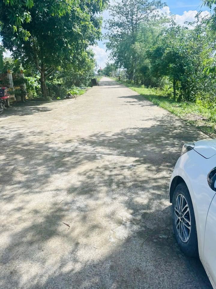 Đất nền Thanh Sơn 250m² giá chỉ 1 tỷ - Đầu tư sinh lời ngay!