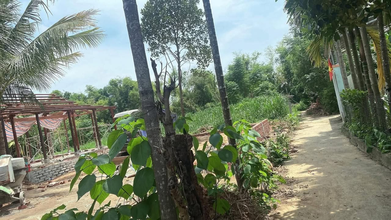 Đất nền Đại Lộc Quảng Nam 102m² giá thỏa thuận - Đường Nguyễn Công Sáu mở rộng sắp tới!