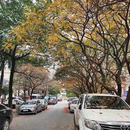 Chung cư Trần Quý Kiên Cầu Giấy 60m² giá 5 tỷ - Sổ đỏ mới hoàn thiện!