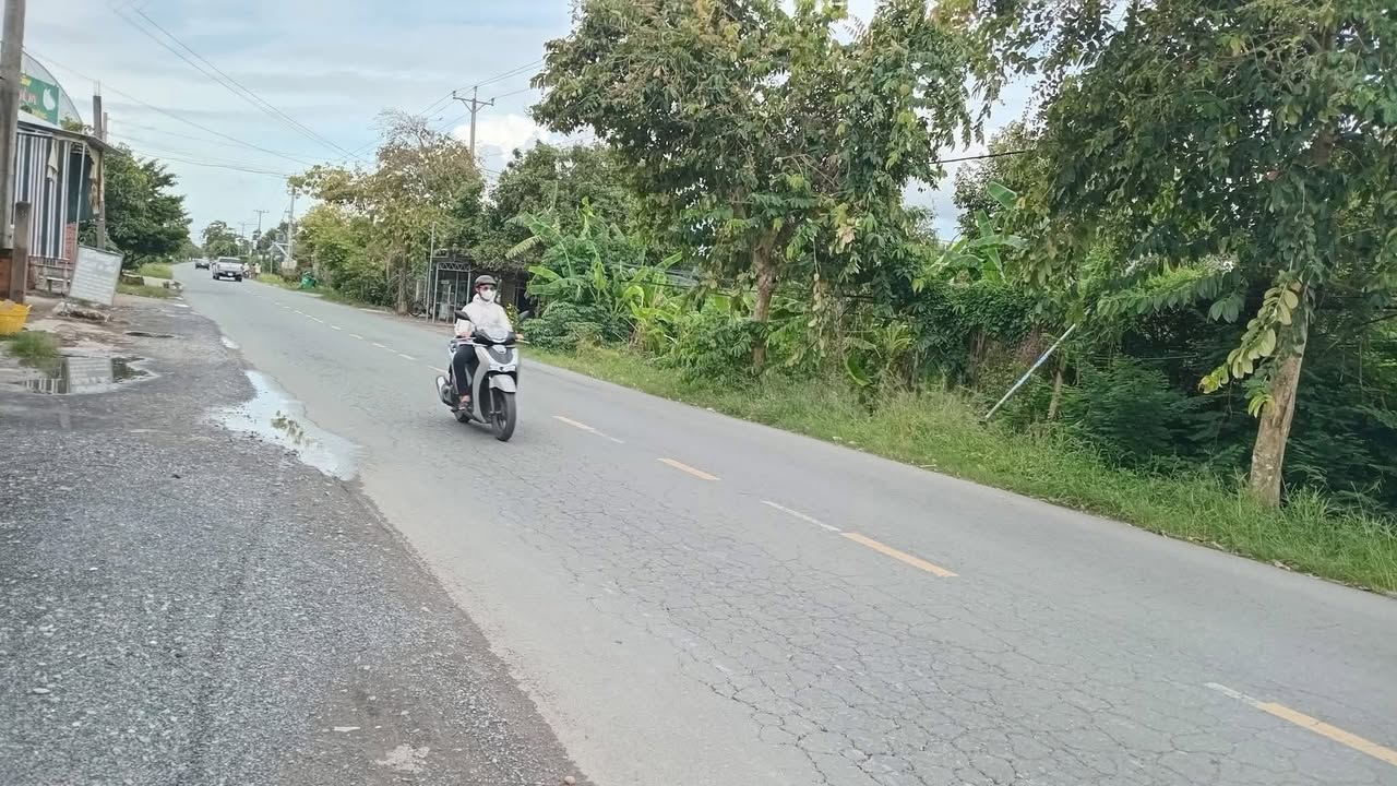 Đất nền mặt tiền TL864 xã Tam Bình 2300m² giá 9.5 tỷ - Cơ hội đầu tư sinh lời!