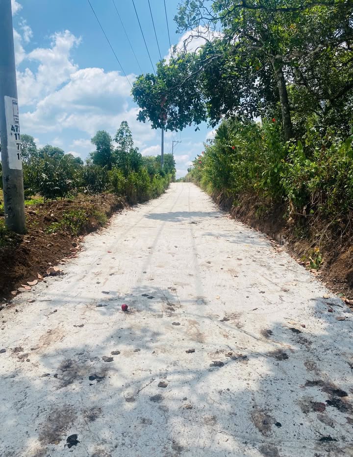 Đất nền Hàng Gòn 1000m² giá 1.15 tỷ - Sổ đỏ chính chủ, mặt tiền bê tông rộng rãi!