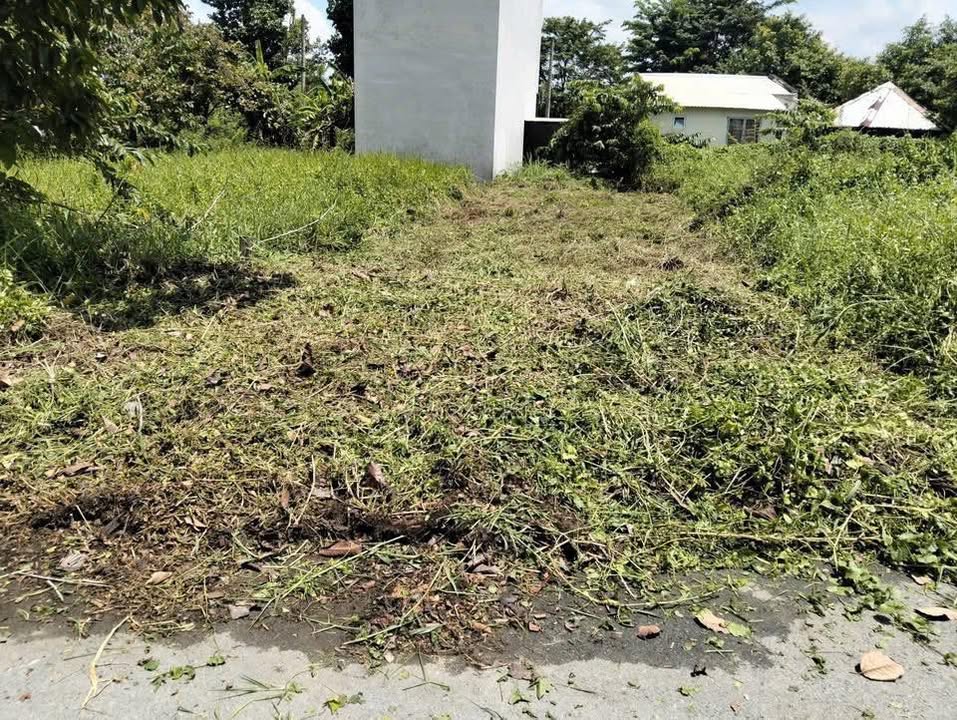 Đất nền Khu đô thị Lợi Bình Nhơn, Tân An 100m² giá chỉ 1.19 tỷ - Cơ hội đầu tư không thể bỏ qua!