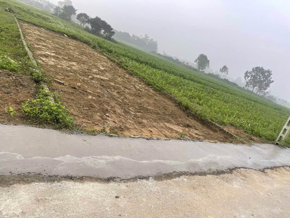 Bán đất xóm 8 Nghi Phong TP Vinh 144m² giá 2.3 tỷ - Mặt tiền rộng, giao thông thuận lợi!