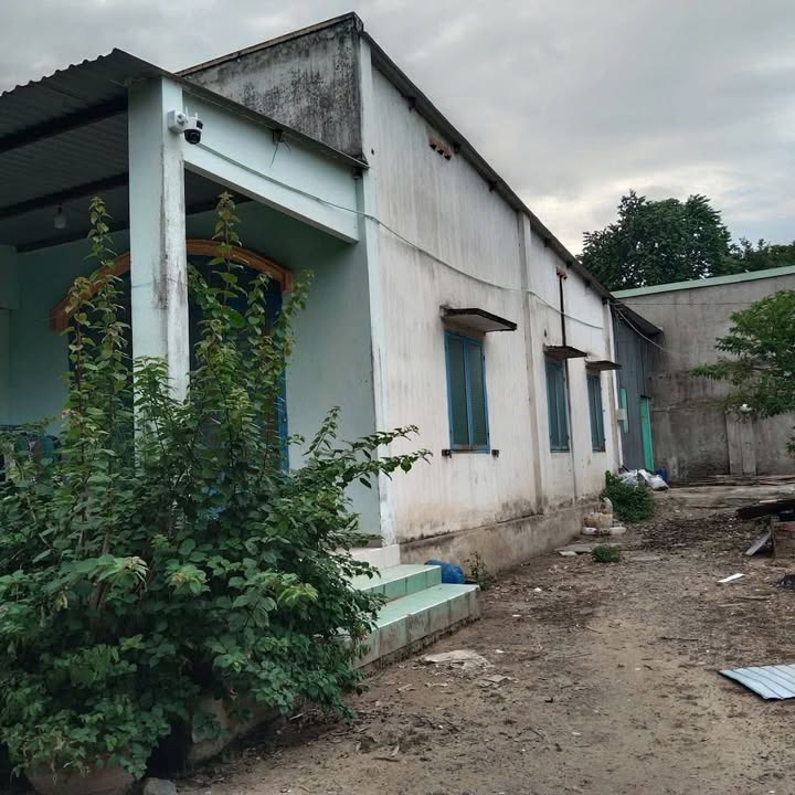 Nhà nguyên căn cho thuê tại Thái Hòa, Tân Uyên, 120m² - Giá chỉ 4 triệu/tháng!