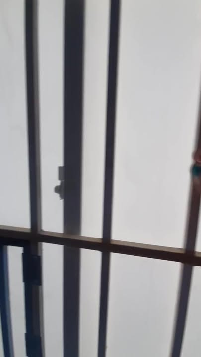 Nhà hẻm ô tô Lư Cấm, Ngọc Hiệp 56m² giá 2.1 tỷ - Sổ hồng chính chủ!