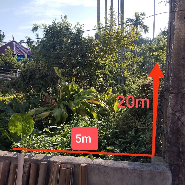 Đất liền kề xóm Vĩnh Hiệp, Hải Thanh, Hải Hậu 98m² chỉ 1.5 tỷ - Pháp lý rõ ràng!