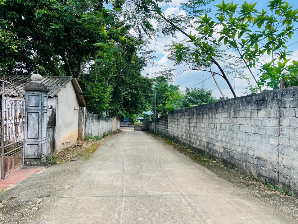 Đất nền Liên Hòa Lập Thạch 142m² giá chỉ 620 triệu - Cơ hội đầu tư tuyệt vời!