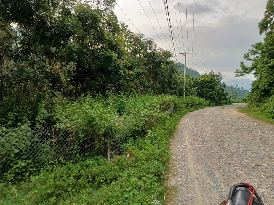 Đất nông nghiệp La Ngâu 2000m² giá 400 triệu - Sổ đỏ chính chủ!