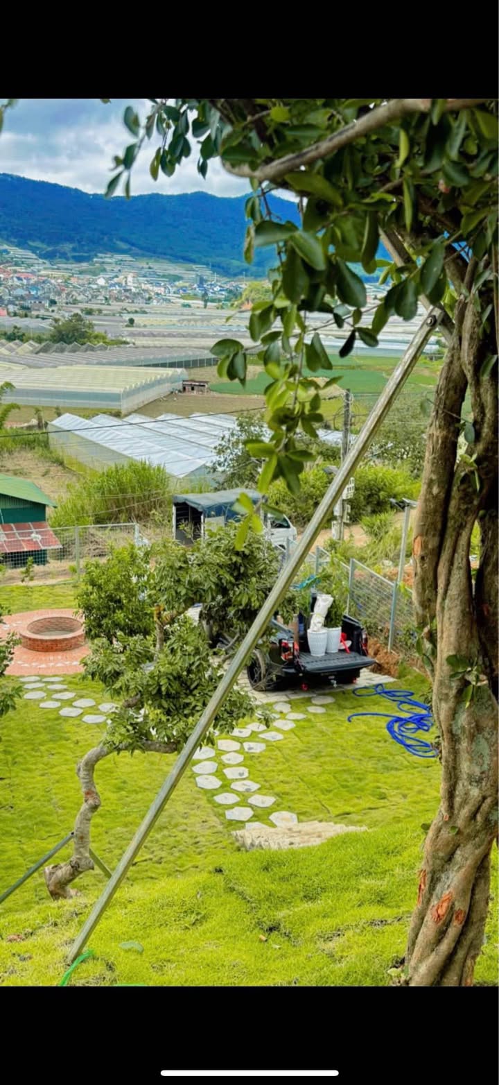 Nhà vườn Phước Thành Đà Lạt 460m² giá 5.2 tỷ - Không gian nghỉ dưỡng lý tưởng!