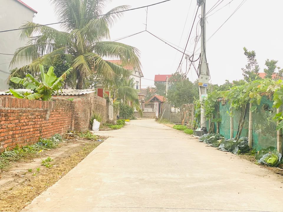 Đất nền lô góc Ninh Xá 62m² giá thỏa thuận - Tiềm năng sinh lời cao!