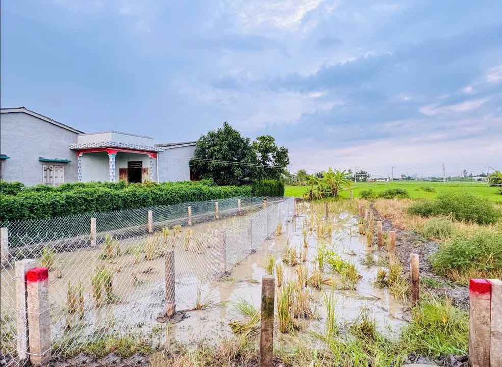 Đất nền Nguyễn Văn Thanh, Tân Trụ 71.6m² giá chỉ 435 triệu - Cơ hội đầu tư tuyệt vời!