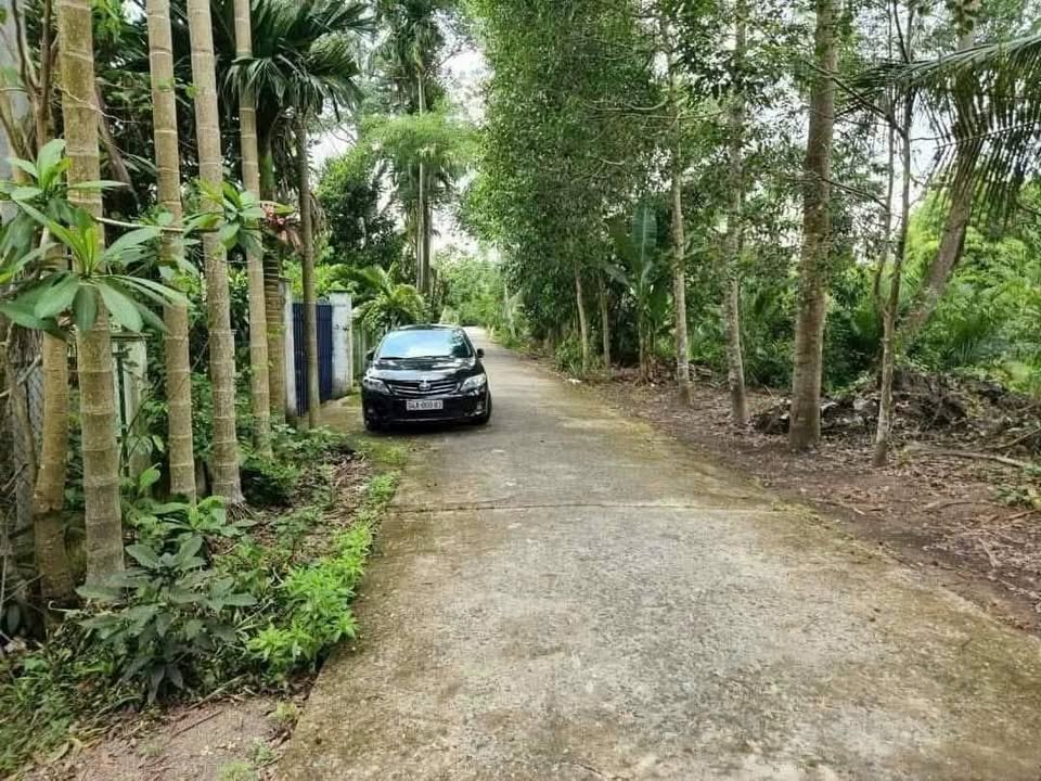 Đất mặt tiền Kênh Sông Lá, Vị Tân, 880m² chỉ 630 triệu - Đầu tư sinh lời!