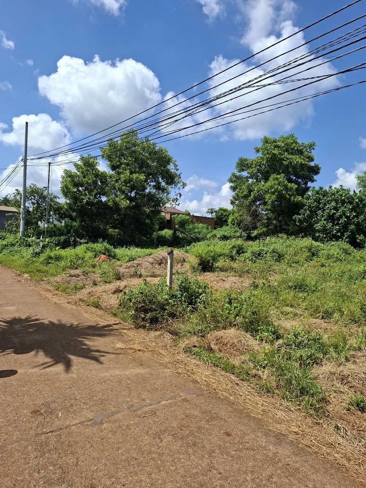 Đất mặt tiền đường Buôn Kom Leo 250m² giá 1.05 tỷ - Sổ đỏ chính chủ!