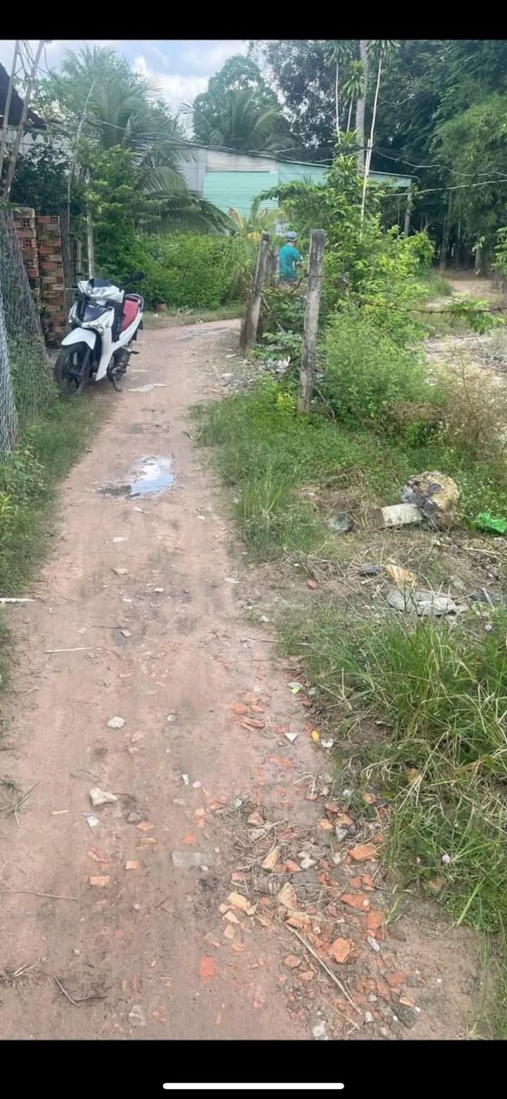 Nhà đất Thạnh Bình, Tân Biên 175m² giá 320 triệu - Sẵn sàng vào ở ngay!