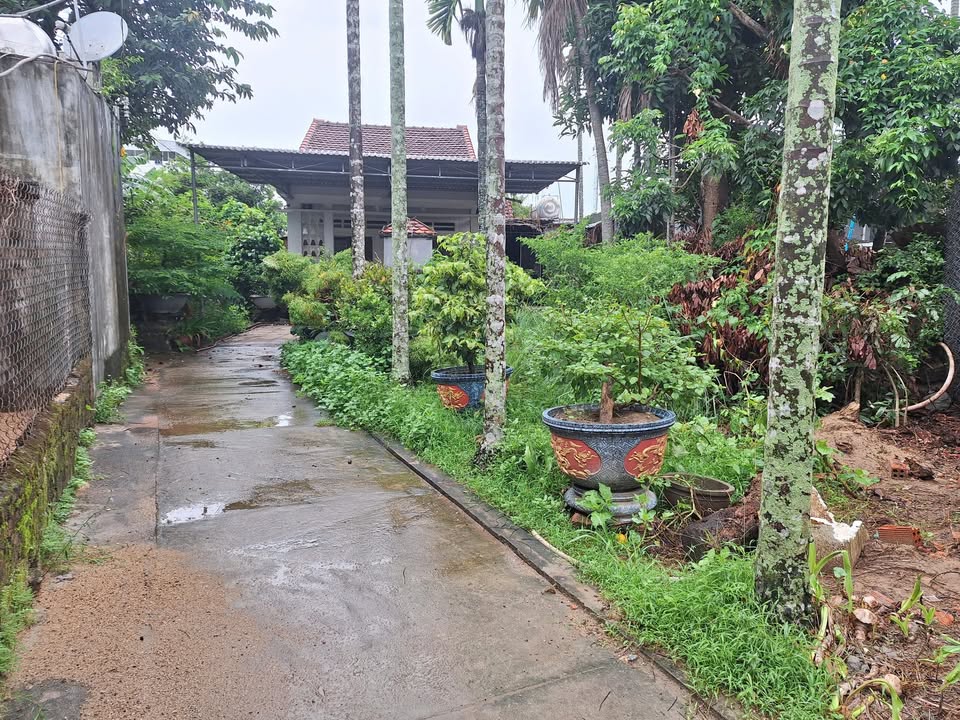 Đất nền bán gấp tại P.Chánh Lộ, Quảng Ngãi - Diện tích 493m² - Giá chỉ 4.9 tỷ!