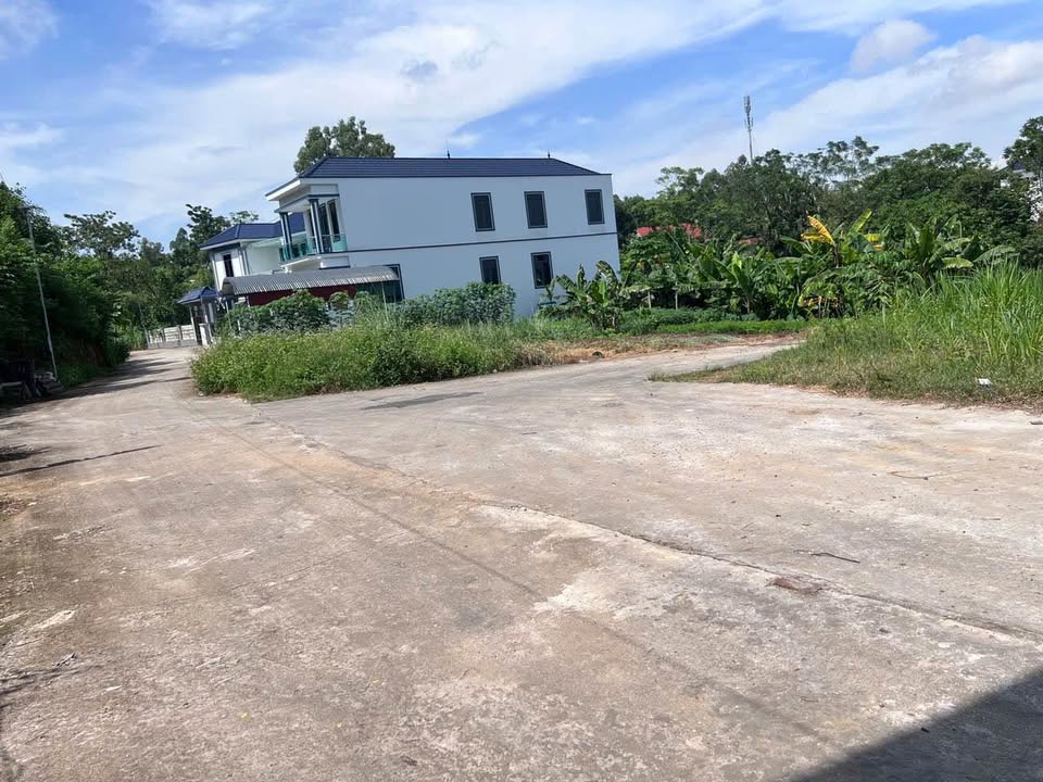 Đất nền chính chủ tại đường Tôn Đức Thắng, Thanh Đình 104m² giá 1.199 tỷ - Cơ hội đầu tư hấp dẫn!