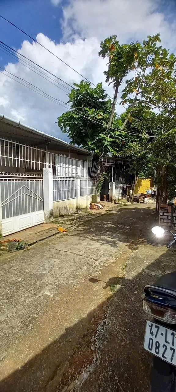 Nhà cho thuê nguyên căn 110m² tại hẻm 117/15 Mạc Đỉnh Chi - Giá 3.5 triệu/tháng