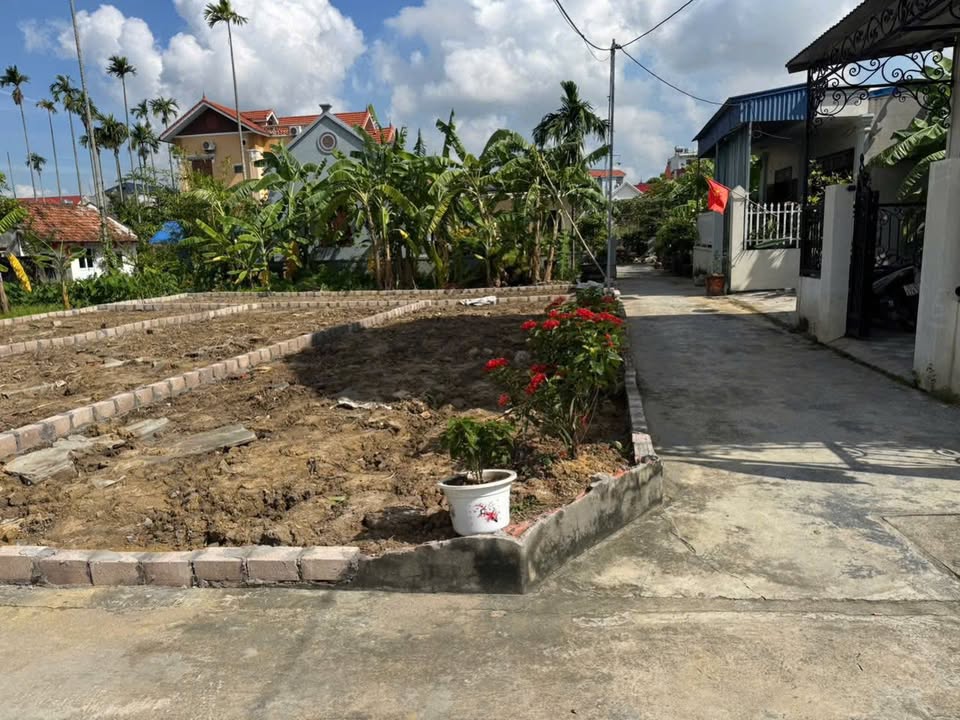 Đất nền Hoa Động Thủy Nguyên 54m² giá chỉ 1 tỷ - Đầu tư sinh lời ngay!