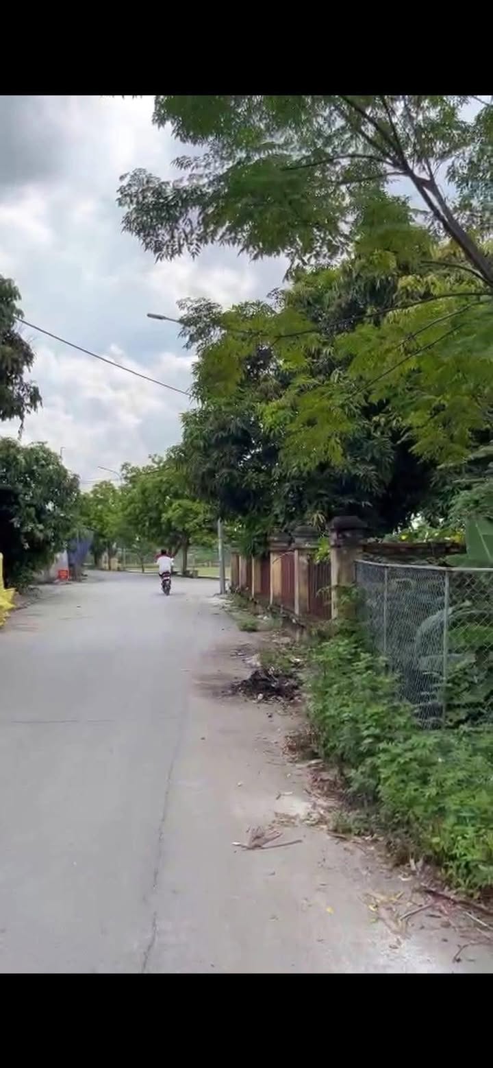 Đất nền Bích Động, Việt Yên 95m² giá 2 tỷ - Gần trường học và tiện ích