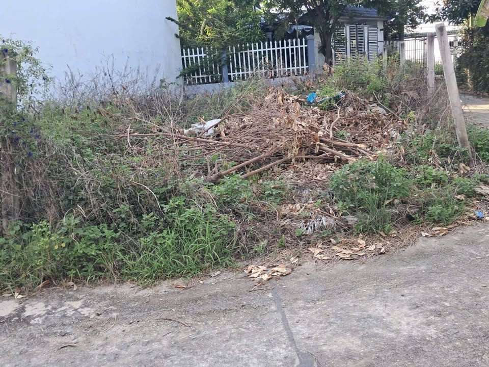 Đất thổ cư Diên An 101.9m² giá 2.499 tỷ - Gần chợ, ô tô tận nơi!