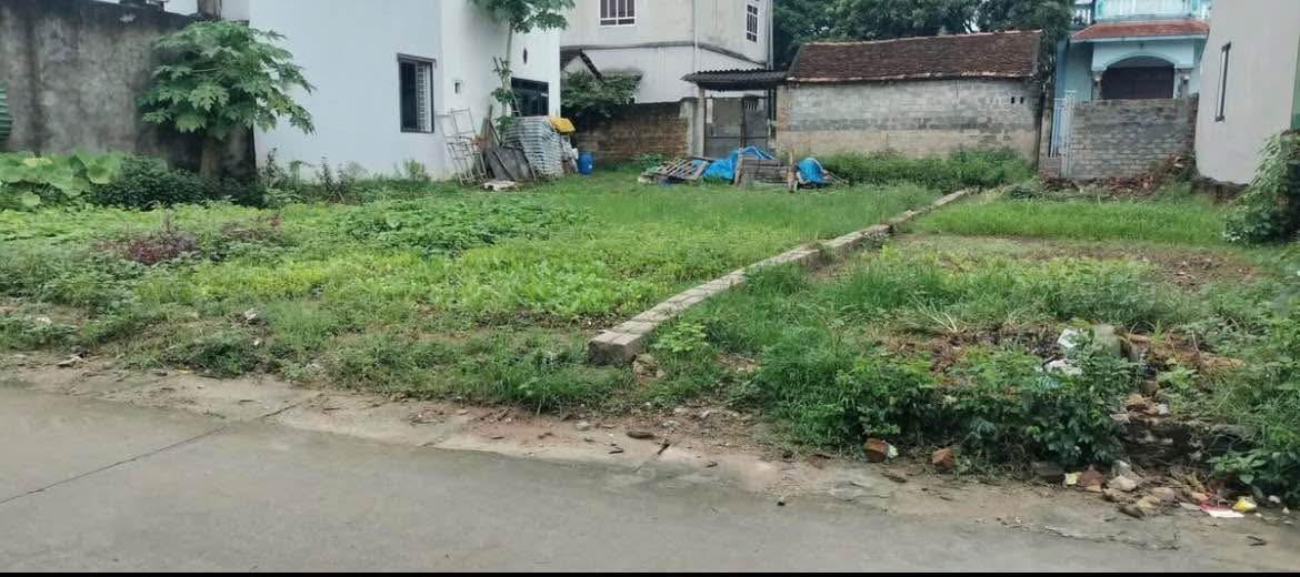 Đất nền 5x35m tại Minh Thạnh, Dầu Tiếng giá chỉ 299 triệu - Cơ hội đầu tư vàng!