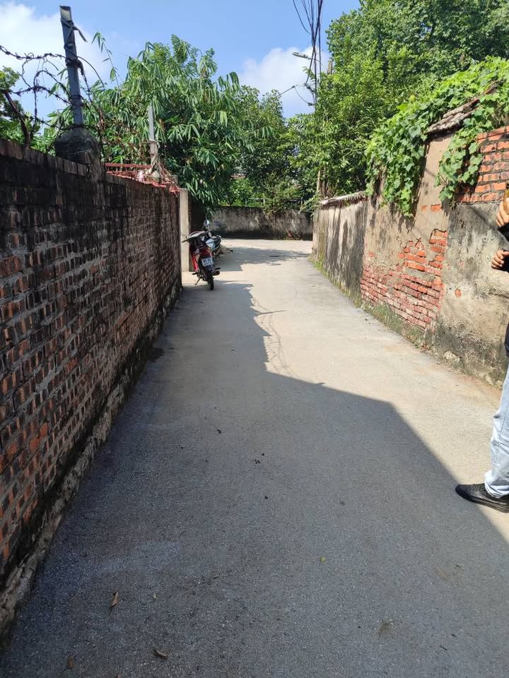 Đất thổ cư Lãng Ngâm Gia Bình 150m² giá 1.5 tỷ - Đầu tư tiềm năng cao!