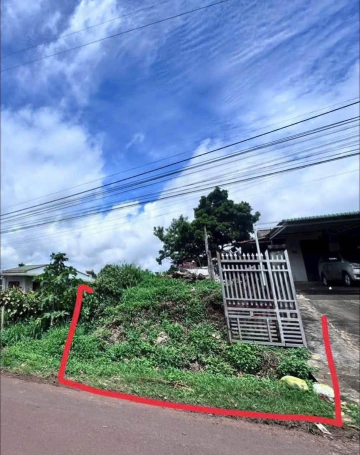 Đất nền 175m² tại Nguyễn Trãi, An Bình - Giá chỉ 2.4 tỷ, chính chủ bán!