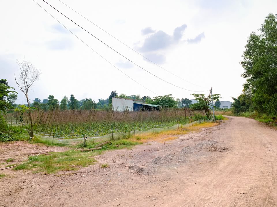 Đất nền Ấp 7 An Phước, Long Thành 102m² giá 330 triệu - Cơ hội đầu tư tuyệt vời!