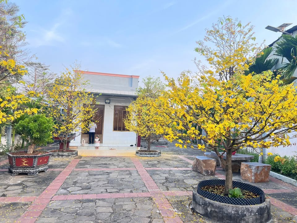 Đất nền Tây Hòa Trảng Bom 600m² giá 3.2 tỷ - Phong thủy tốt, tặng nhà cấp 4!