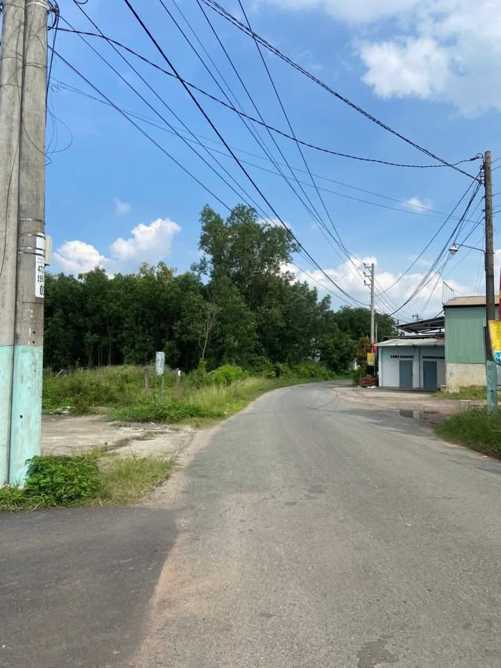 Đất mặt tiền kinh doanh Long Phước, Long Thành 110m² - Giá thỏa thuận hấp dẫn!