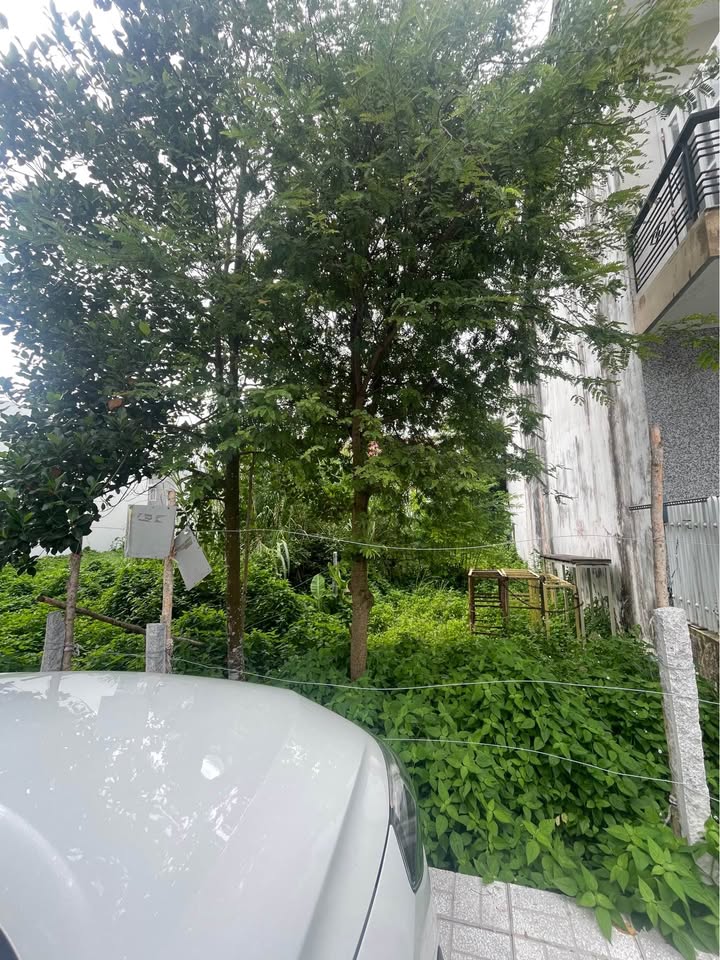 Đất nền đường Lê Trọng Tấn, Long Xuyên 103m² - Sổ đỏ chính chủ, thuận tiện kinh doanh!