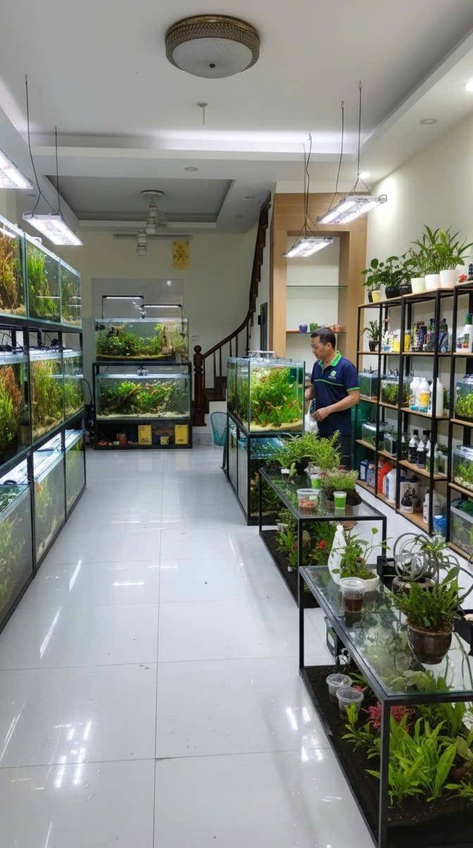 Cho thuê văn phòng tầng 1 tại Nguyễn Quý Đức, Thanh Xuân - 30m² chỉ 5 triệu/tháng!