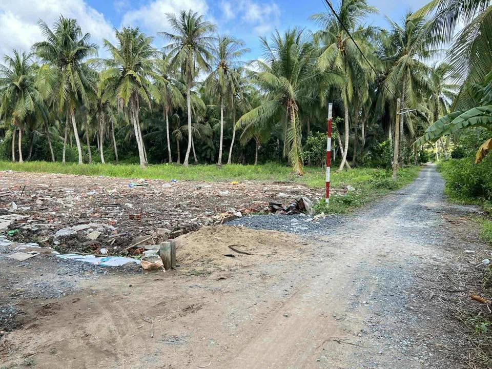 Đất vườn 1550m² xã Vĩnh Hựu, Gò Công Tây giá 900 triệu - Tiềm năng phát triển lớn!