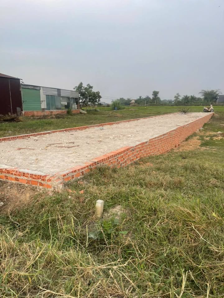 Đất thổ cư 180m² tại ấp Giồng Lớn, Long An - Sổ đỏ chính chủ, giá chỉ 1.3 tỷ!