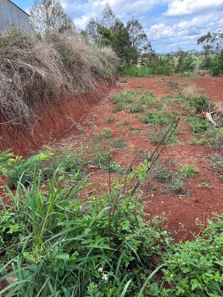 Đất thổ cư 22200m² tại Quốc lộ 14, Đắk Mil - Giá 470 triệu, bớt lộc cho khách nhanh tay!