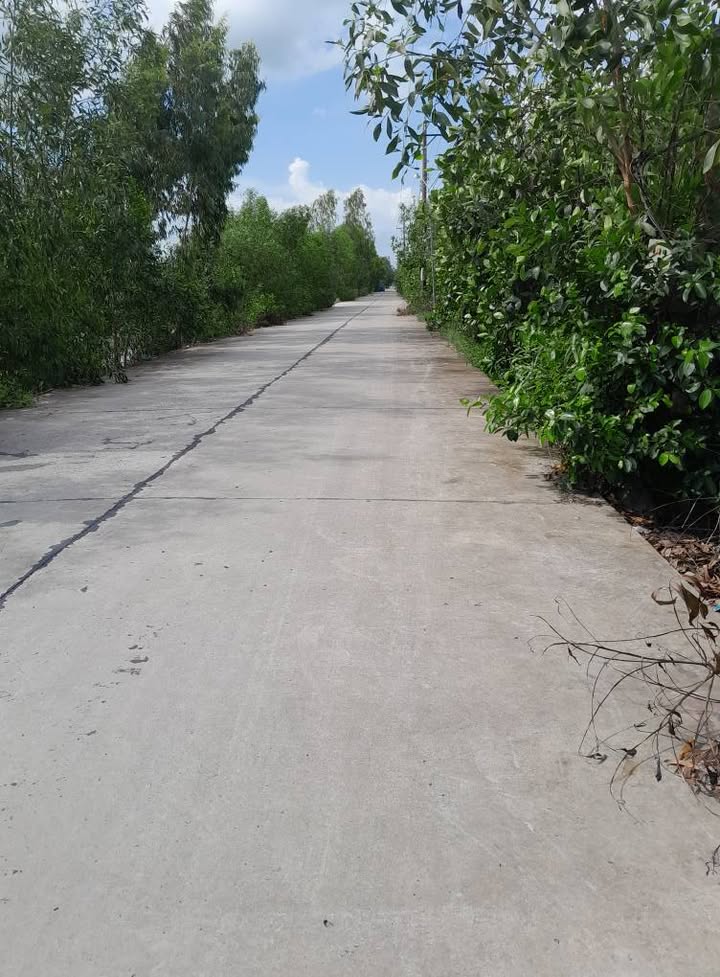 Đất nông nghiệp 14 công xã Tân Tuyến Tri Tôn - Giá chỉ 1.95 tỷ VND!