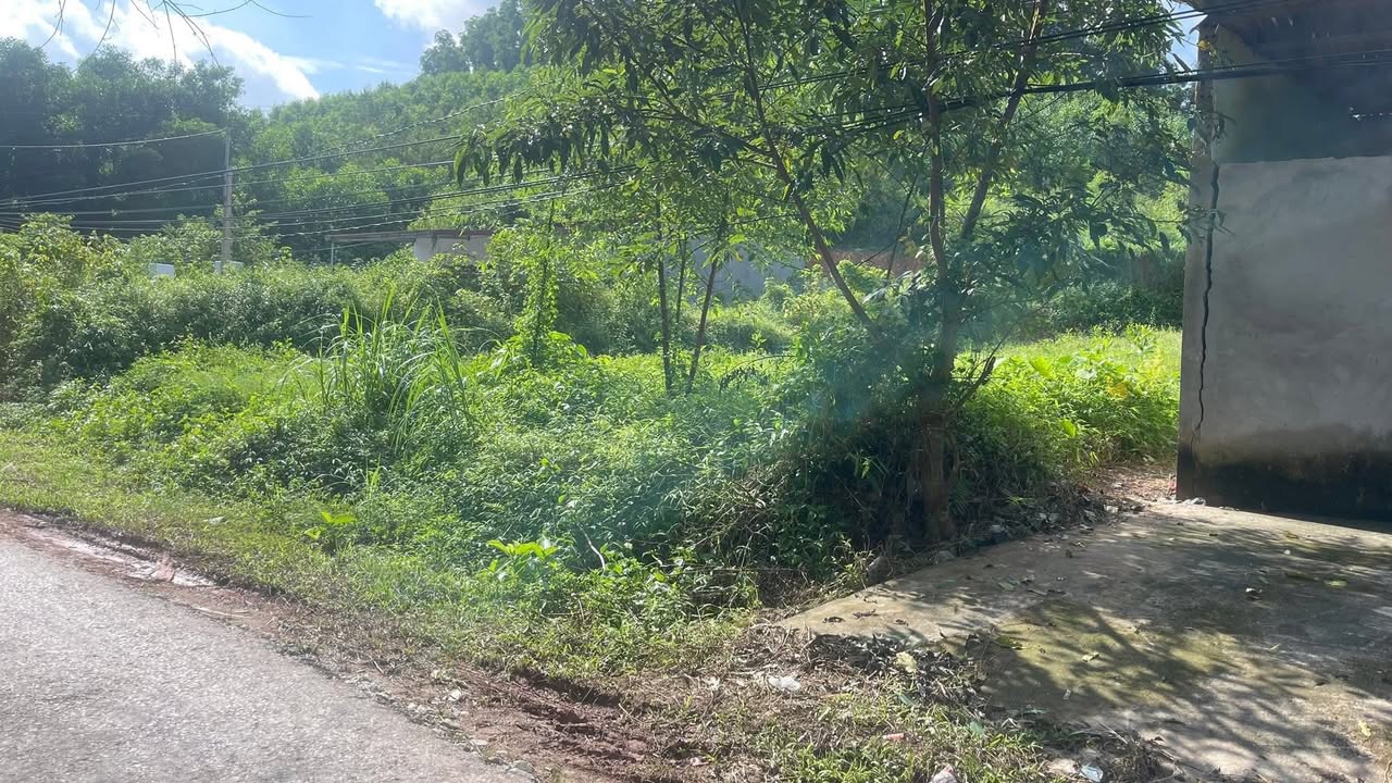 Đất nền xã Tam Tiến, huyện Yên Thế 762m² giá 1 tỷ - Mặt tiền rộng, giao thông thuận lợi!