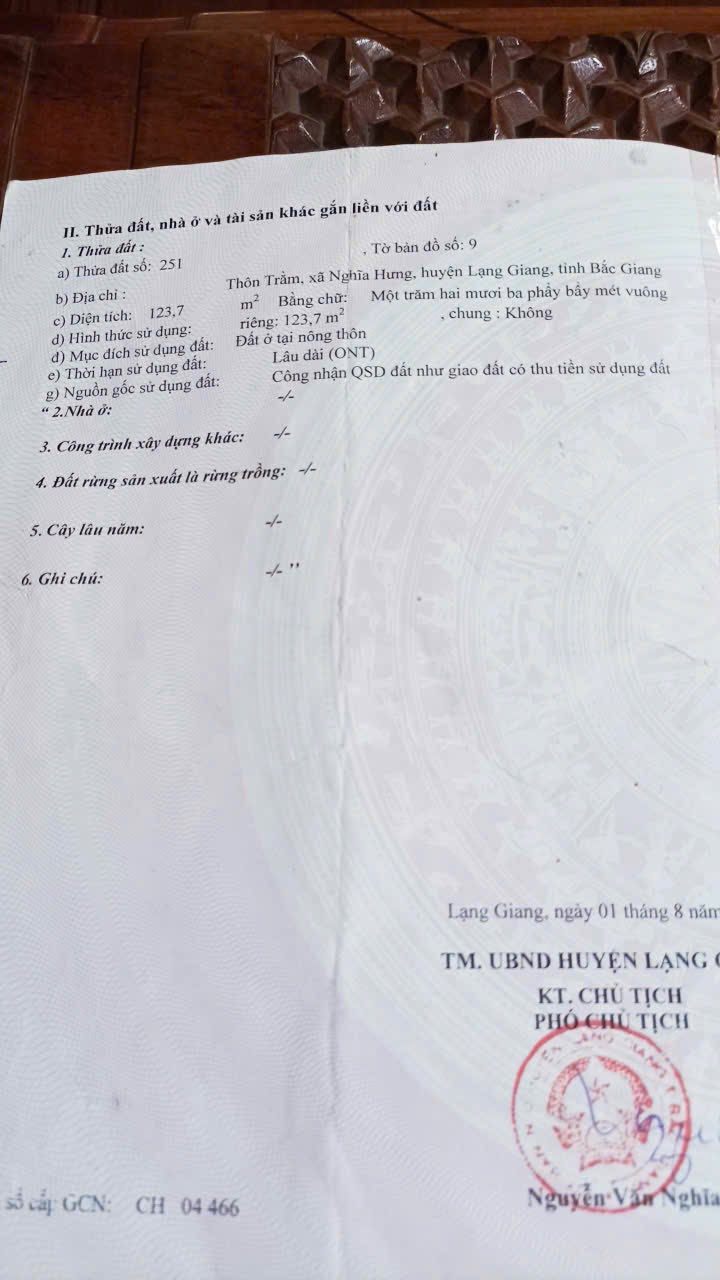 Đất thổ cư 123.7m² Thôn Trằm, Nghĩa Hưng chỉ 300 triệu - Cần bán gấp!