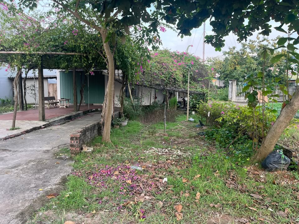 Đất 3 mặt tiền tỉnh lộ 295 Hiệp Hòa 69m² giá 1 tỷ - Cơ hội đầu tư tuyệt vời!